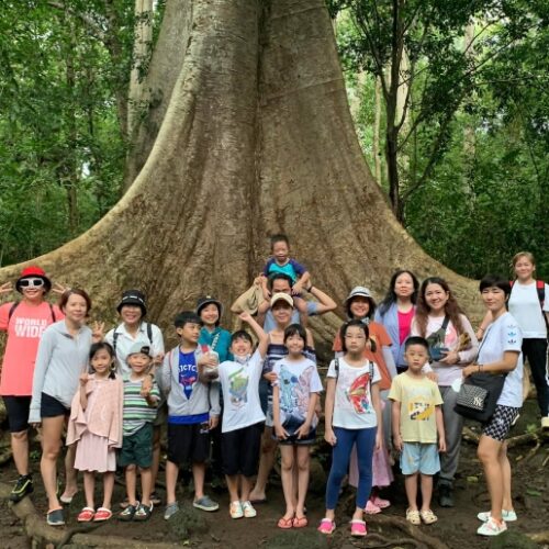 Cay Tung Co Thu Nam Cat Tien Thu Duc Travel