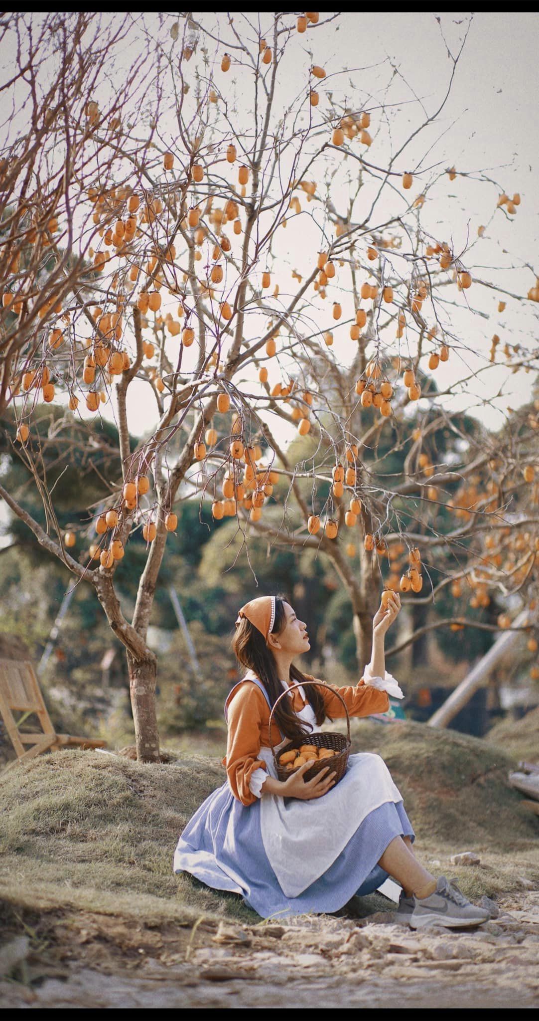 Vườn hồng hà nội 2