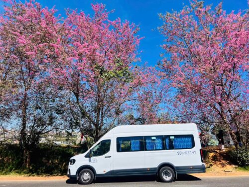 Chọn thuê xe 18 chỗ dịch vụ trọn gói tại Huy Đạt giúp bạn tiết kiệm chi phí