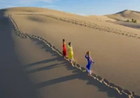 đồi cát nam cương