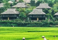 Mai châu hoà bình