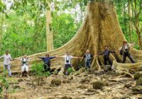 Tour rừng nam cát tiên