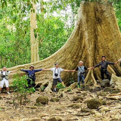 Tour rừng nam cát tiên