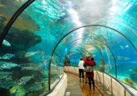 Khu du lịch suối tiên