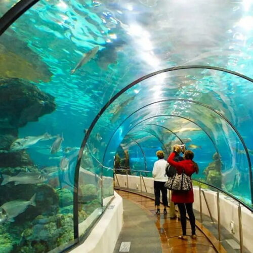 Khu du lịch suối tiên